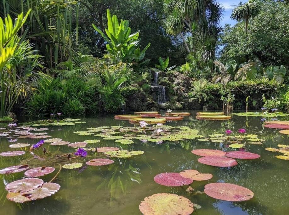 Insta Worthy Oasis Villa Homestead Kültér fotó
